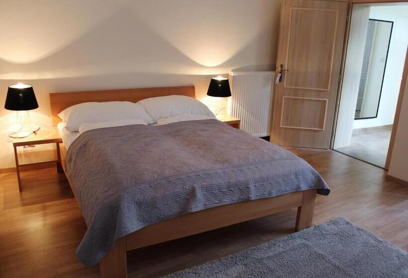 חדר סטנדרט נוף לגינה, Café Havlíček Penzion