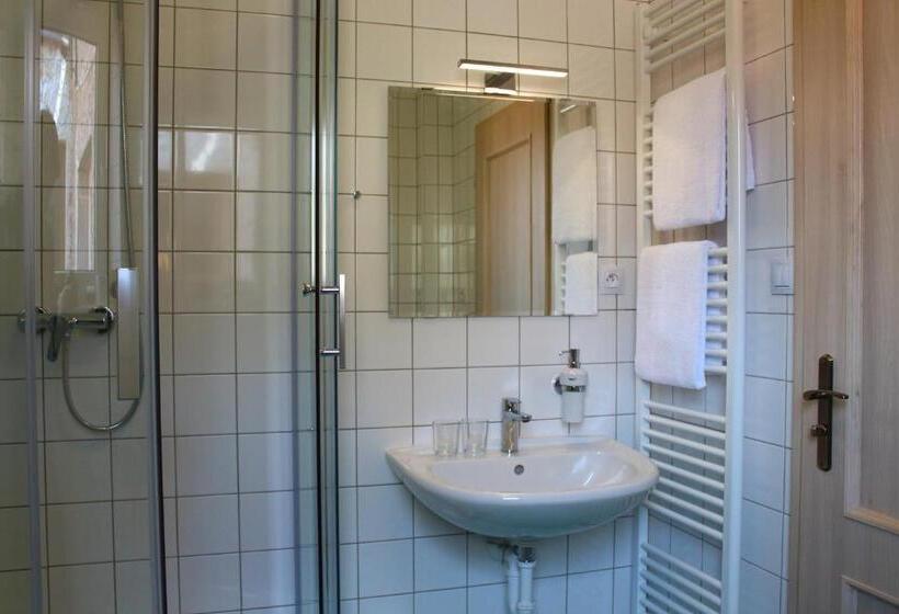 חדר סטנדרט, Café Havlíček Penzion