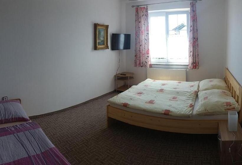 庭の見える１ベッドルームアパートメント, Penzion Panter