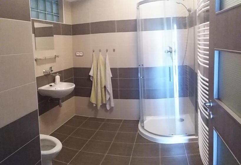 庭の見える１ベッドルームアパートメント, Penzion Panter