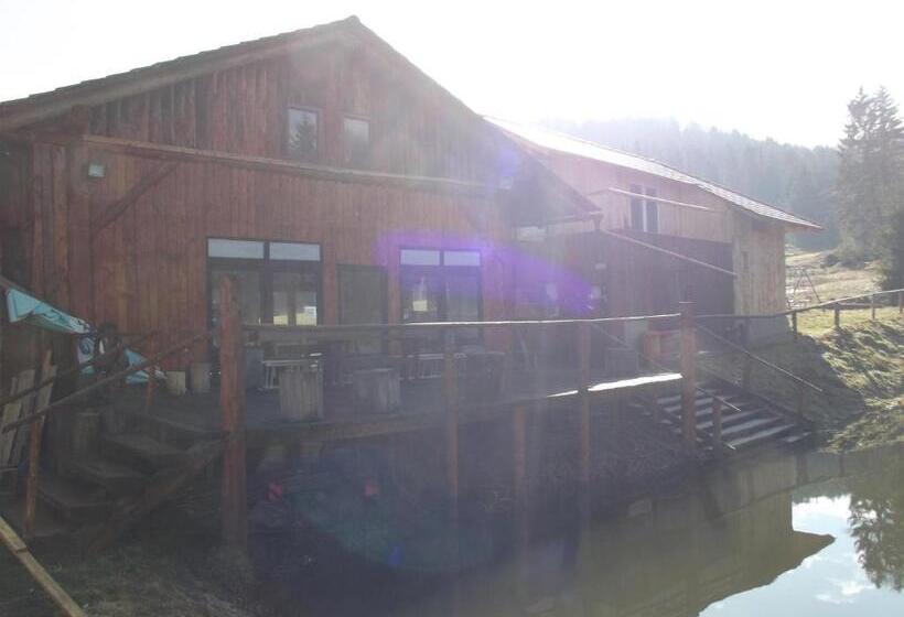 四人标准间, Pensiunea Casa Zmeilor