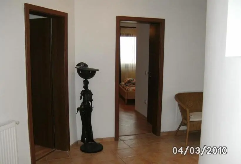 バルコニー付き1ベッドルームアパートメント, Pensiunea Casa Zmeilor