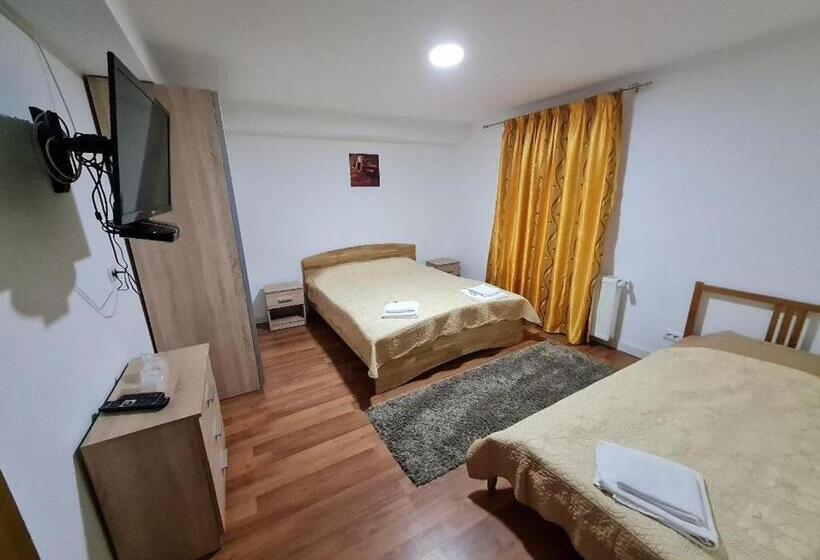 침실 1개 발코니 아파트, Pensiunea Casa Zmeilor