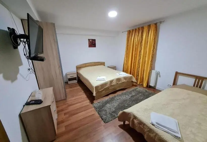 バルコニー付き1ベッドルームアパートメント, Pensiunea Casa Zmeilor