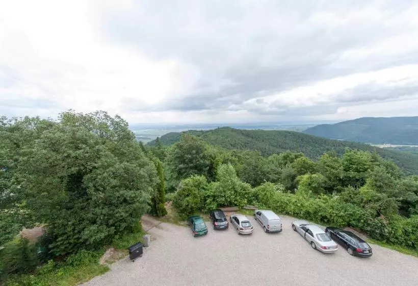 Standard-huone Parveke, Alexain Hotel Restaurant & Wellness   Colmar Ouest