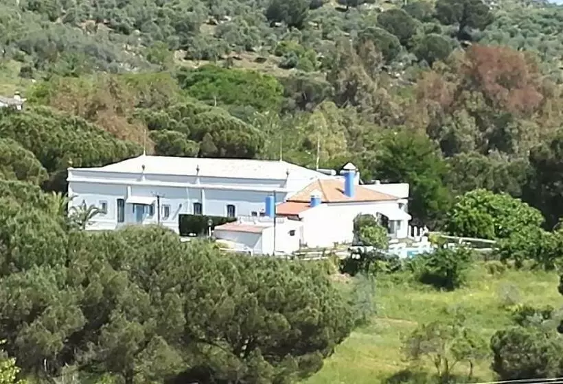 اتاق استاندارد با چشم‌انداز باغ, Casa Grande