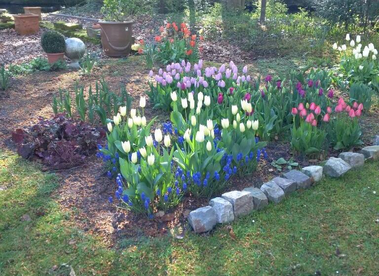 디럭스 룸 킹사이즈 침대, Eremyten Hof