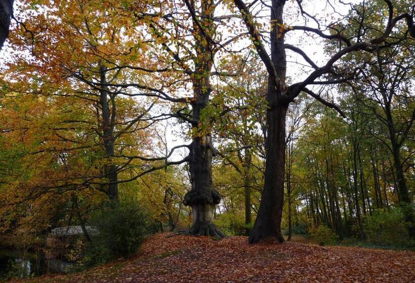 수피리어 룸 가든 전망, Eremyten Hof