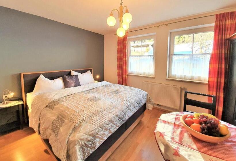 Студио Стандарт с Видом, Grubhof Appartements