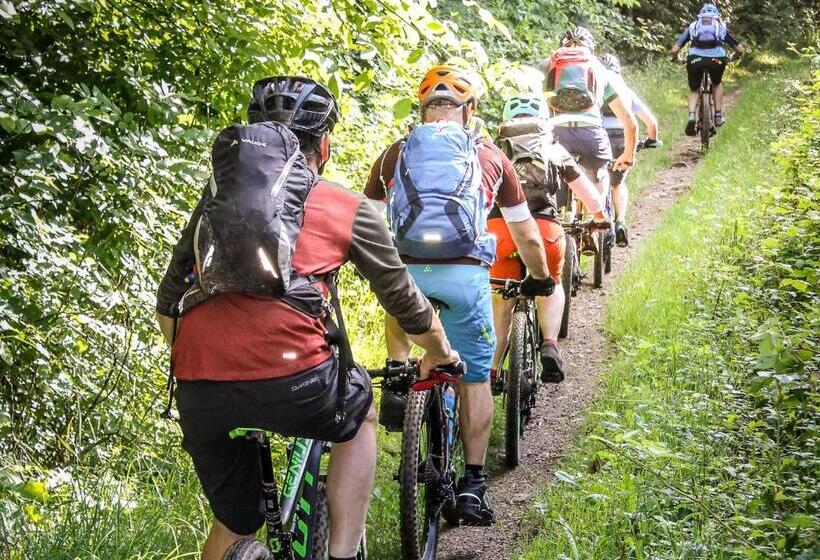 コンフォートシングルルーム, Suggenbad