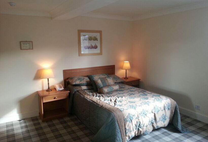 Номер Стандарт Индивидуальный, The Windsor