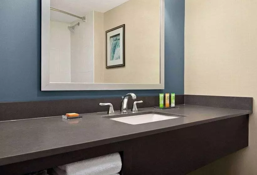 اتاق لوکس با چشم‌انداز شهر, Wyndham Garden Niagara Falls Fallsview