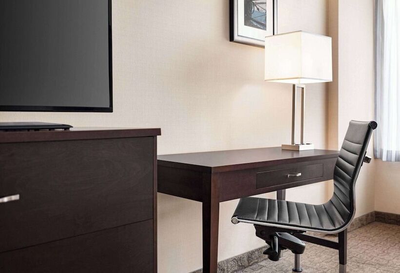 디럭스 룸 도시 전망, Wyndham Garden Niagara Falls Fallsview