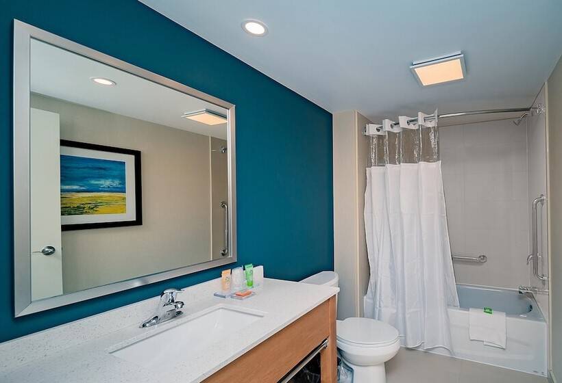 디럭스 룸 도시 전망, Wyndham Garden Niagara Falls Fallsview