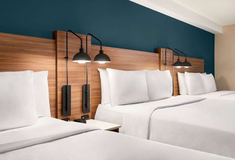 디럭스 룸 도시 전망, Wyndham Garden Niagara Falls Fallsview