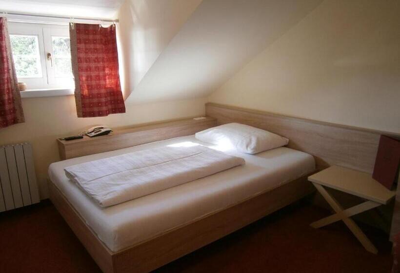اتاق عادی یک تخته, Lust Und Laune Hotel Am Wörthersee