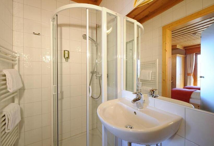 חדר סטנדרט נוף לאגם, Naturhotel Alpenrose