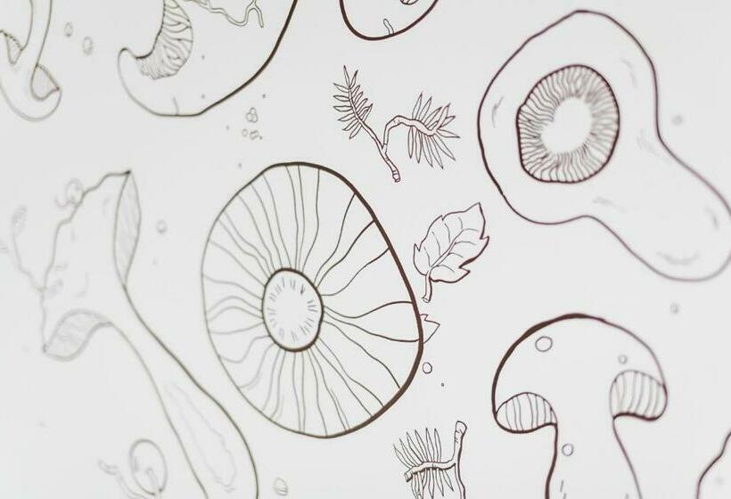 スタンダードルーム, Wellness Hotel Grand