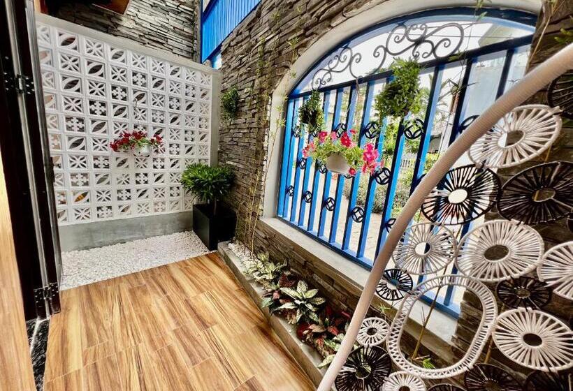 استودیوی استاندارد, Cani Beach House