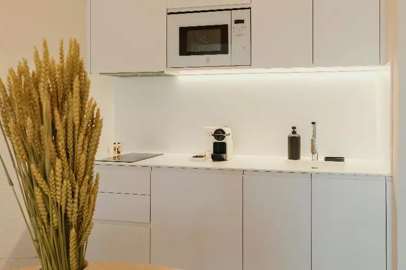 آپارتمان 1 خوابه, Paya Suites