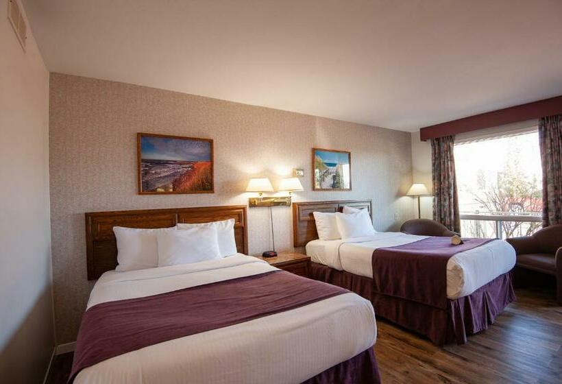 스탠다드 룸, Dutch Inn