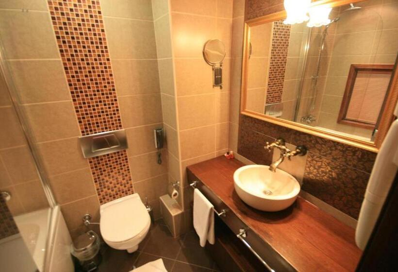 スーペリアールーム, Mangana Konak