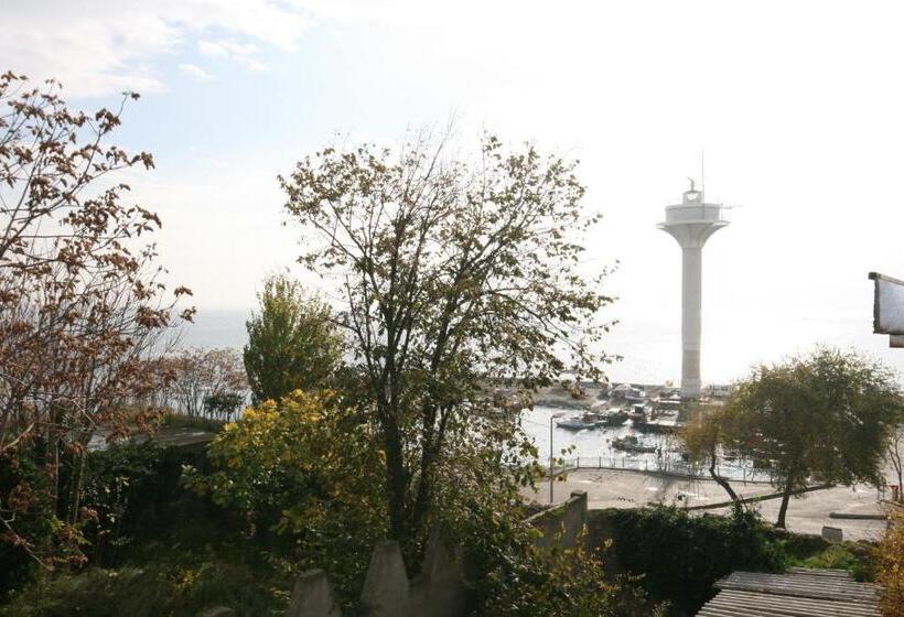اتاق استاندارد سه تخته با چشمانداز باغ, Mangana Konak