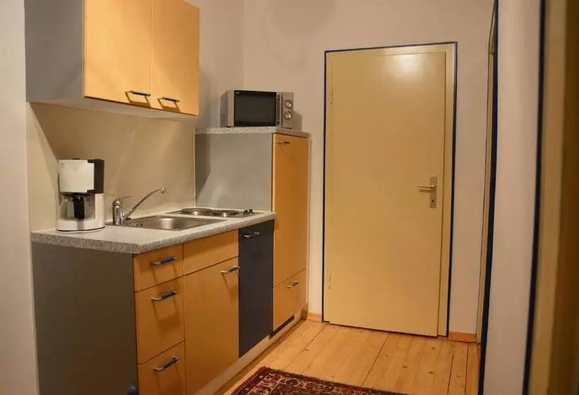 Apartament 1 Dormitori amb Balcó, Nattererboden