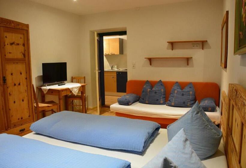 침실 1개 발코니 아파트, Nattererboden