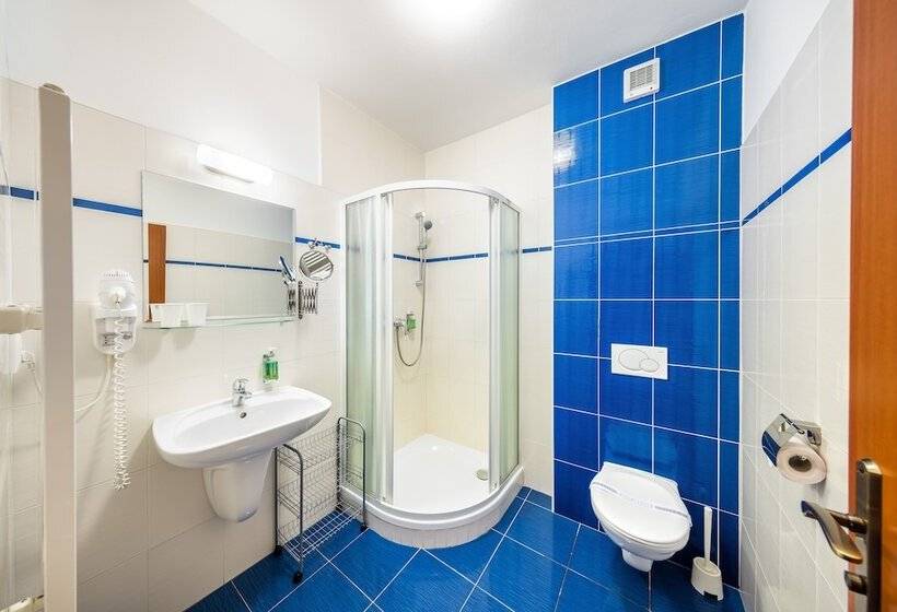 Номер Стандарт Индивидуальный, Záviš Z Falkenštejna