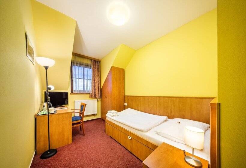 Номер Стандарт Индивидуальный, Záviš Z Falkenštejna