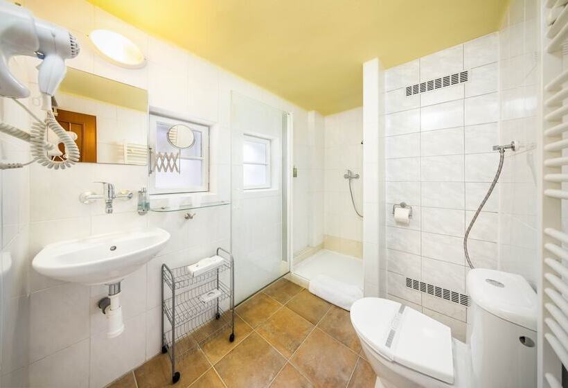 Номер Стандарт, Záviš Z Falkenštejna