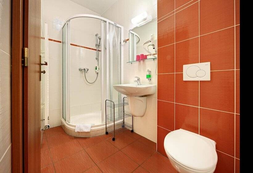 Номер Economy, Záviš Z Falkenštejna