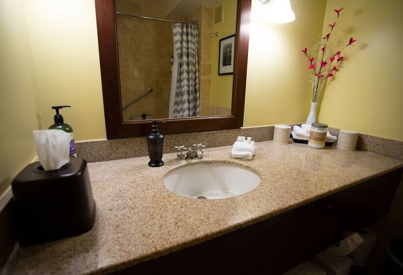 غرفة ديلوكس مطلة على الجبل, 2417 At Oceanfront Resort Lihue Kauai Beach Drive Private Condo