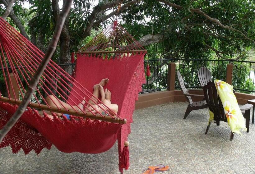 اتاق خانوادگی, Zopango Orchids Island