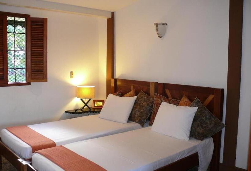 اتاق خانوادگی, Zopango Orchids Island