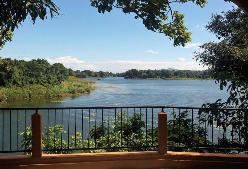 اتاق خانوادگی, Zopango Orchids Island