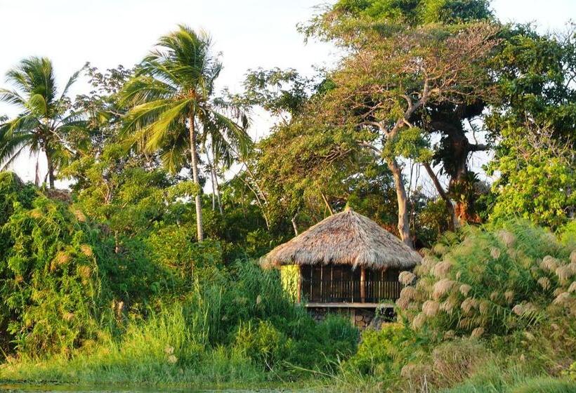 اتاق استاندارد با تخت بزرگ, Zopango Orchids Island