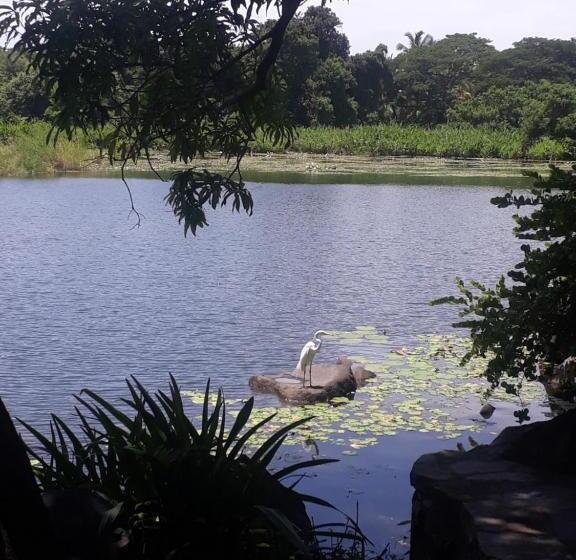 اتاق استاندارد با بالکن, Zopango Orchids Island