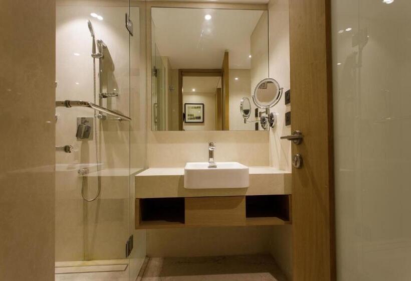 חדר דלוקס, Sayaji Jamnagar