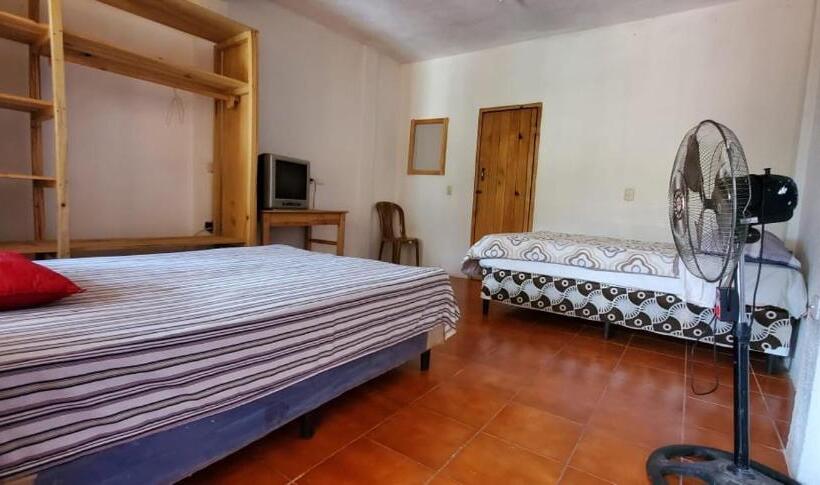 اتاق استاندارد, Casa Argentina