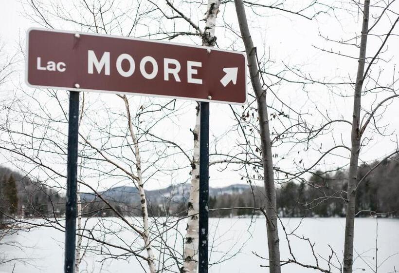 带露台的套间, Suites Du Lac Moore