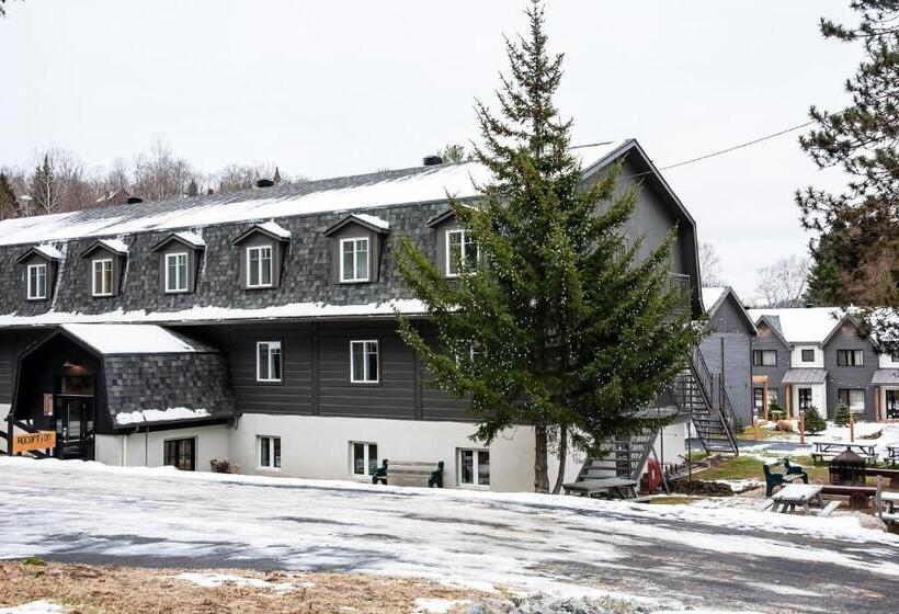 带露台的套间, Suites Du Lac Moore