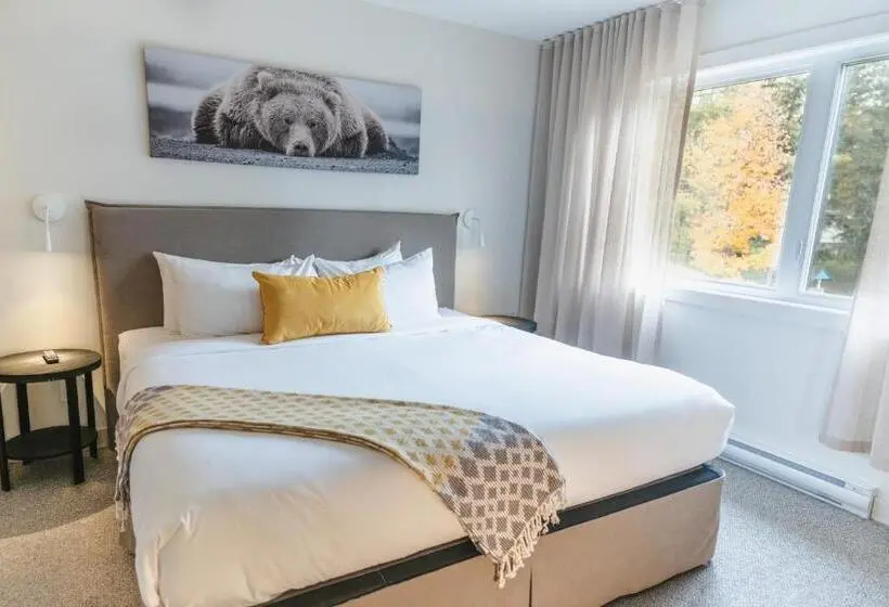 اتاق لوکس با تخت بزرگ, Suites Du Lac Moore By Manitonga