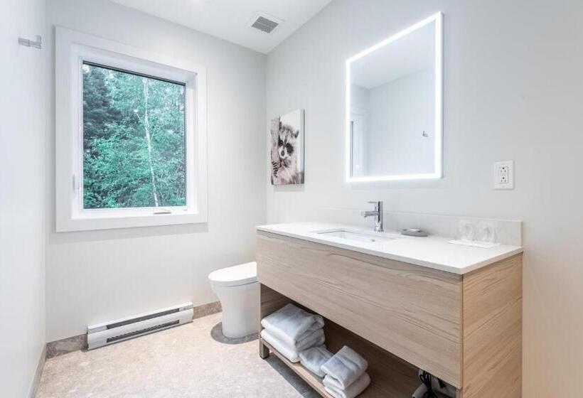 带大床的豪华间, Suites Du Lac Moore