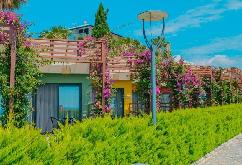 Háromágyas Comfort Szoba, Feniks