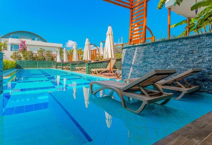 Medencére Néző Standar Háromágyas Szoba, Feniks