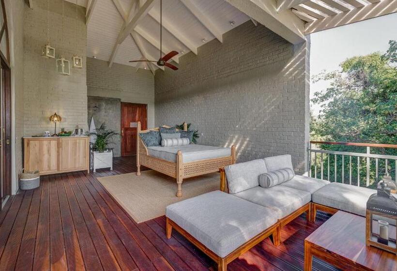 سوئیت با بالکن, Palm River