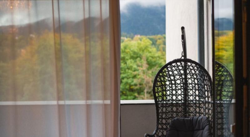 Полулюкс Повышенной Комфортности, Elexus Apartments Poiana Brasov