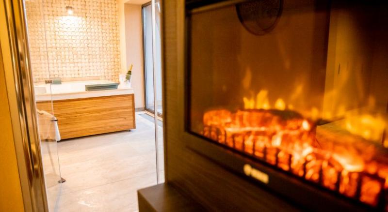 Номер Executive, Elexus Apartments Poiana Brasov